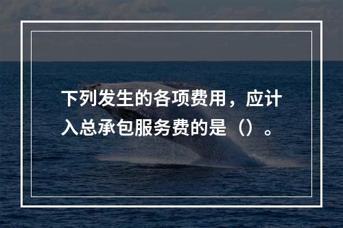 下列发生的各项费用，应计入总承包服务费的是（）。