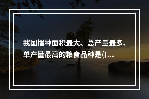 我国播种面积最大、总产量最多、单产量最高的粮食品种是()。