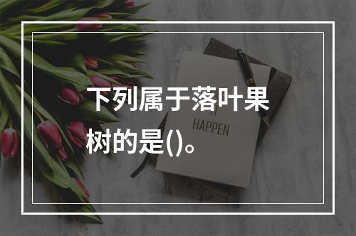 下列属于落叶果树的是()。