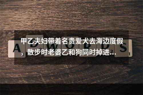 甲乙夫妇带着名贵爱犬去海边度假，散步时老婆乙和狗同时掉进海里