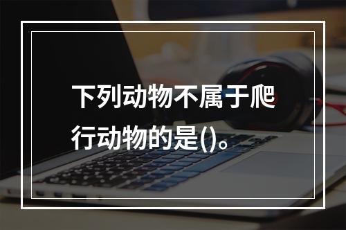 下列动物不属于爬行动物的是()。