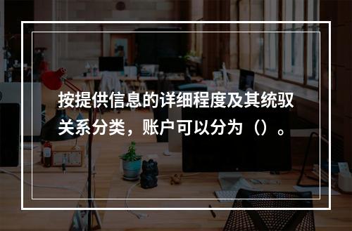 按提供信息的详细程度及其统驭关系分类，账户可以分为（）。