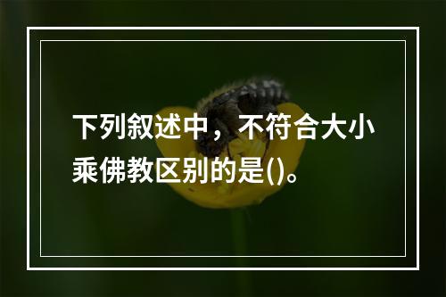 下列叙述中，不符合大小乘佛教区别的是()。