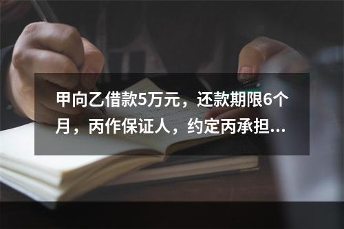 甲向乙借款5万元，还款期限6个月，丙作保证人，约定丙承担保证