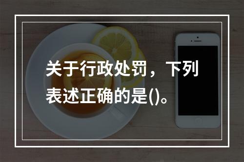 关于行政处罚，下列表述正确的是()。