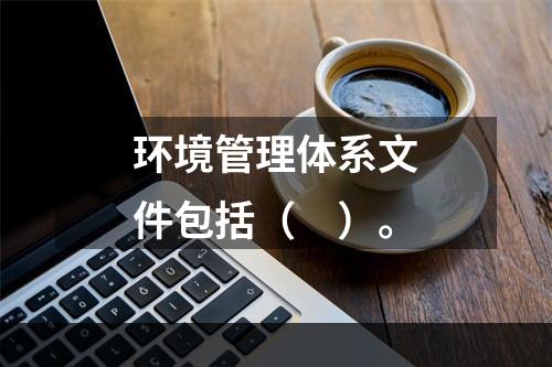 环境管理体系文件包括（　）。