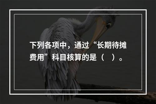 下列各项中，通过“长期待摊费用”科目核算的是（　）。