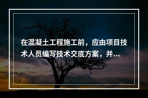 在混凝土工程施工前，应由项目技术人员编写技术交底方案，并经（