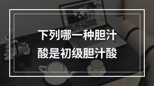 下列哪一种胆汁酸是初级胆汁酸