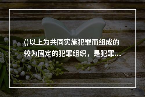 ()以上为共同实施犯罪而组成的较为固定的犯罪组织，是犯罪集团