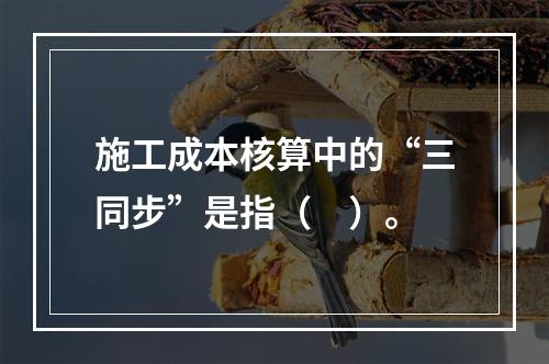 施工成本核算中的“三同步”是指（　）。