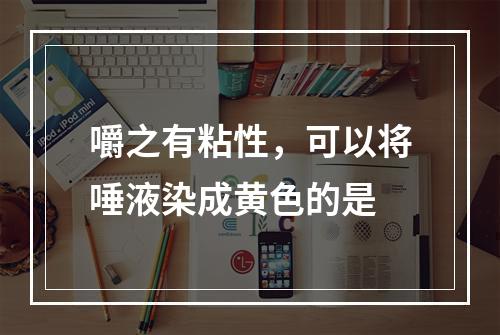 嚼之有粘性，可以将唾液染成黄色的是