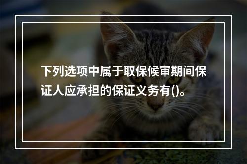 下列选项中属于取保候审期间保证人应承担的保证义务有()。