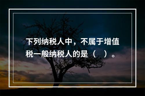 下列纳税人中，不属于增值税一般纳税人的是（　）。