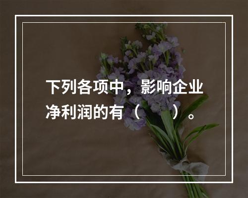 下列各项中，影响企业净利润的有（　　）。