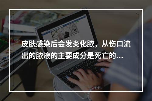 皮肤感染后会发炎化脓，从伤口流出的脓液的主要成分是死亡的白细