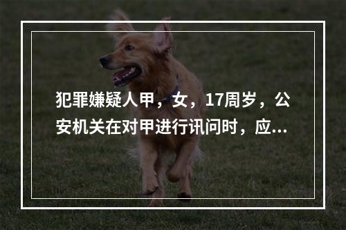 犯罪嫌疑人甲，女，17周岁，公安机关在对甲进行讯问时，应当通