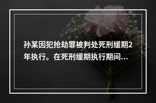 孙某因犯抢劫罪被判处死刑缓期2年执行。在死刑缓期执行期间，孙