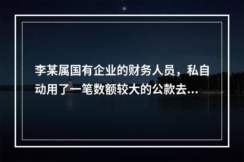 李某属国有企业的财务人员，私自动用了一笔数额较大的公款去炒股