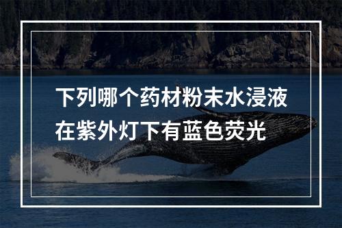 下列哪个药材粉末水浸液在紫外灯下有蓝色荧光