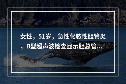 女性，51岁，急性化脓性胆管炎，B型超声波检查显示胆总管扩张