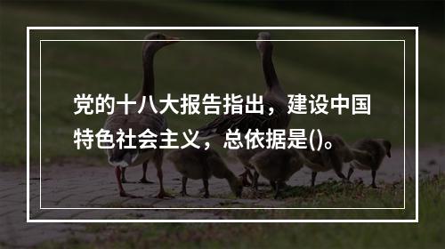 党的十八大报告指出，建设中国特色社会主义，总依据是()。