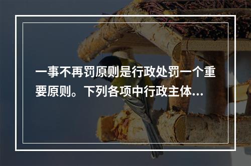 一事不再罚原则是行政处罚一个重要原则。下列各项中行政主体的行