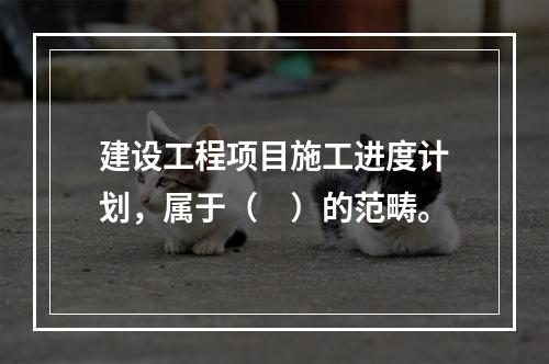 建设工程项目施工进度计划，属于（　）的范畴。