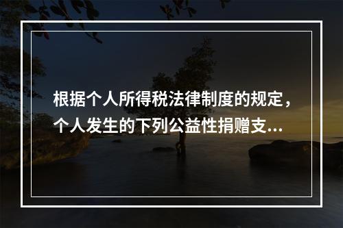 根据个人所得税法律制度的规定，个人发生的下列公益性捐赠支出中