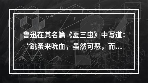 鲁迅在其名篇《夏三虫》中写道：“跳蚤来吮血，虽然可恶，而一声