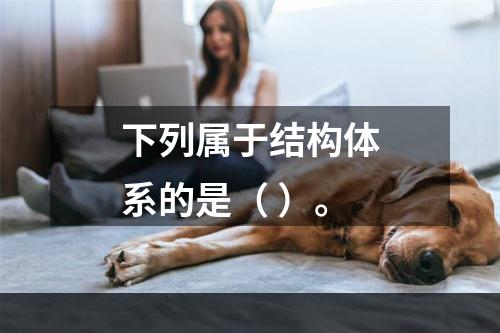 下列属于结构体系的是（ ）。