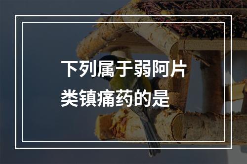 下列属于弱阿片类镇痛药的是