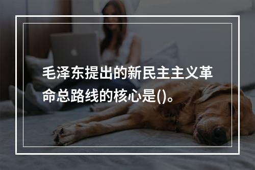 毛泽东提出的新民主主义革命总路线的核心是()。