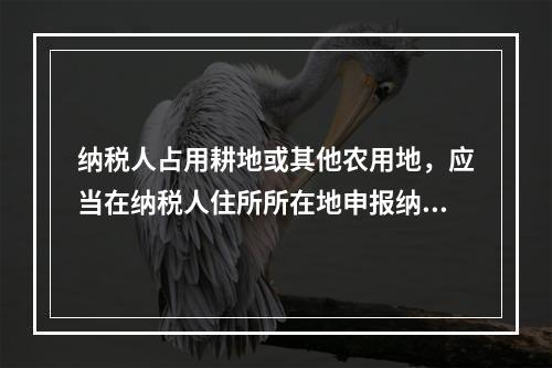 纳税人占用耕地或其他农用地，应当在纳税人住所所在地申报纳税。