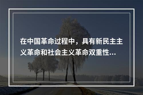 在中国革命过程中，具有新民主主义革命和社会主义革命双重性质的