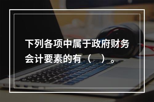 下列各项中属于政府财务会计要素的有（　）。