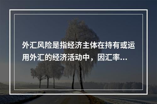 外汇风险是指经济主体在持有或运用外汇的经济活动中，因汇率变动