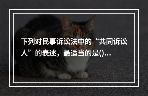 下列对民事诉讼法中的“共同诉讼人”的表述，最适当的是()。