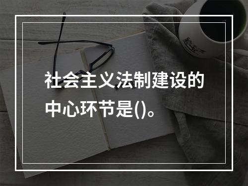 社会主义法制建设的中心环节是()。