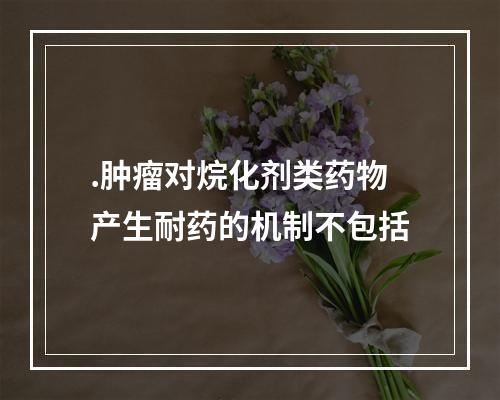 .肿瘤对烷化剂类药物产生耐药的机制不包括