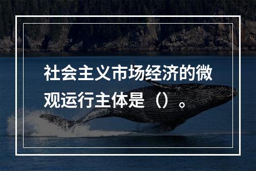 社会主义市场经济的微观运行主体是（）。