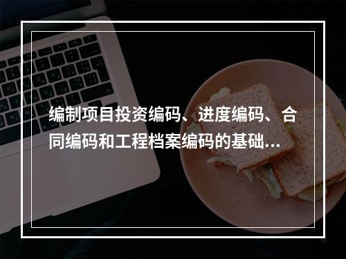 编制项目投资编码、进度编码、合同编码和工程档案编码的基础是（