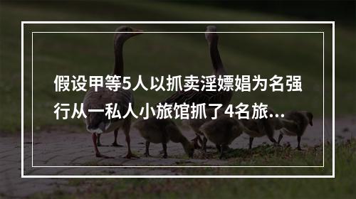 假设甲等5人以抓卖淫嫖娼为名强行从一私人小旅馆抓了4名旅客.