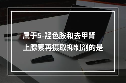 属于5-羟色胺和去甲肾上腺素再摄取抑制剂的是