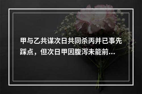 甲与乙共谋次日共同杀丙并已事先踩点，但次日甲因腹泻未能前往犯