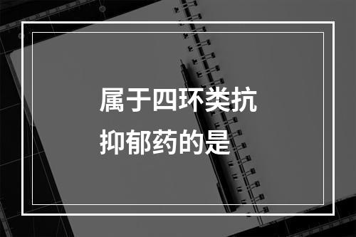 属于四环类抗抑郁药的是