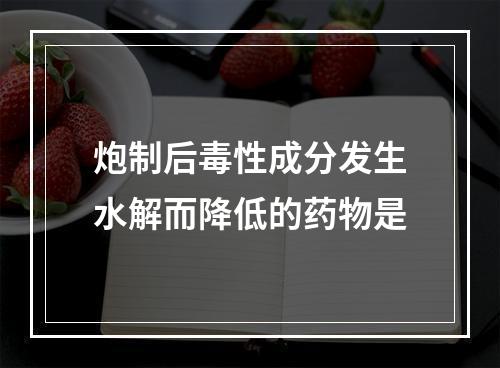 炮制后毒性成分发生水解而降低的药物是