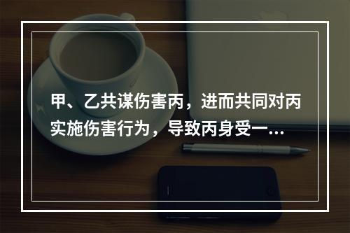 甲、乙共谋伤害丙，进而共同对丙实施伤害行为，导致丙身受一处重