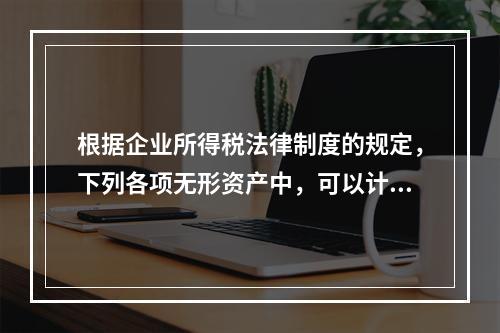 根据企业所得税法律制度的规定，下列各项无形资产中，可以计算摊