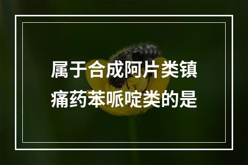 属于合成阿片类镇痛药苯哌啶类的是